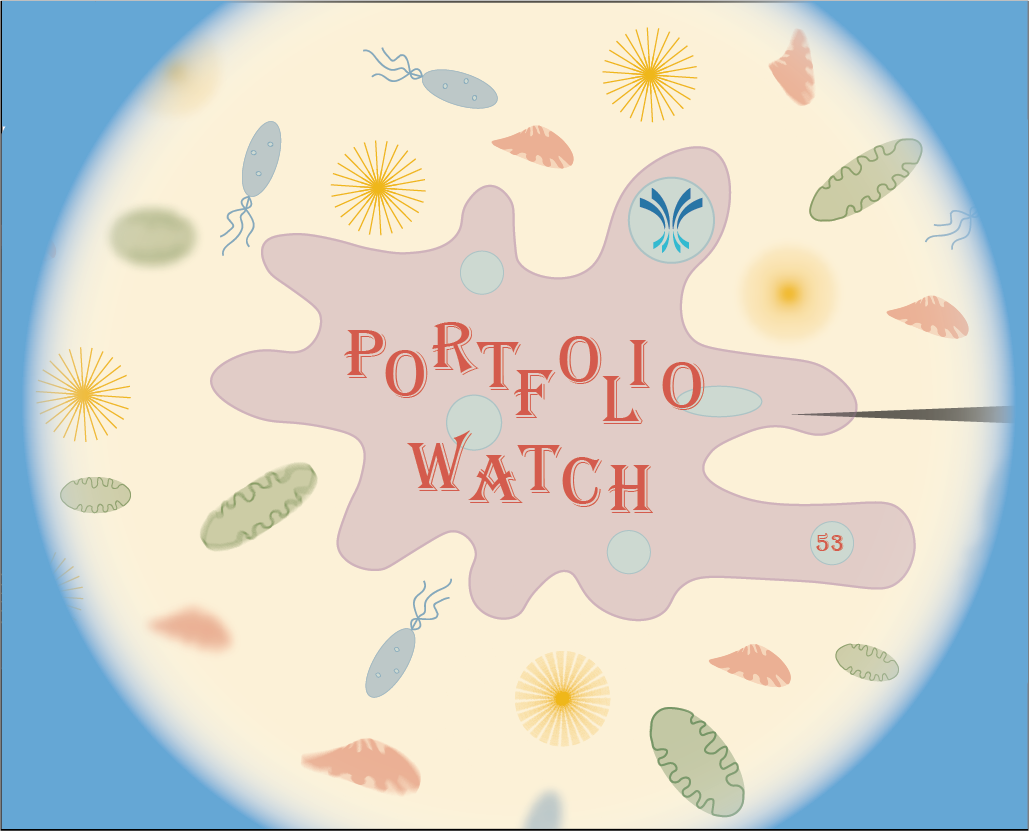 Portfolio Watch August 2024